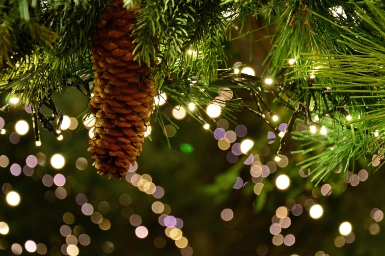 a pine cone hanging from a christmas tree, by Maksimilijan Vanka, firefly lights, avatar image, detail, wallpaper - 1 0 2 4