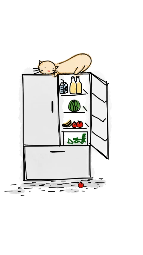 a cat sleeping on top of a refrigerator, by Carla Wyzgala, simple illustration, vegetable, worksafe. illustration