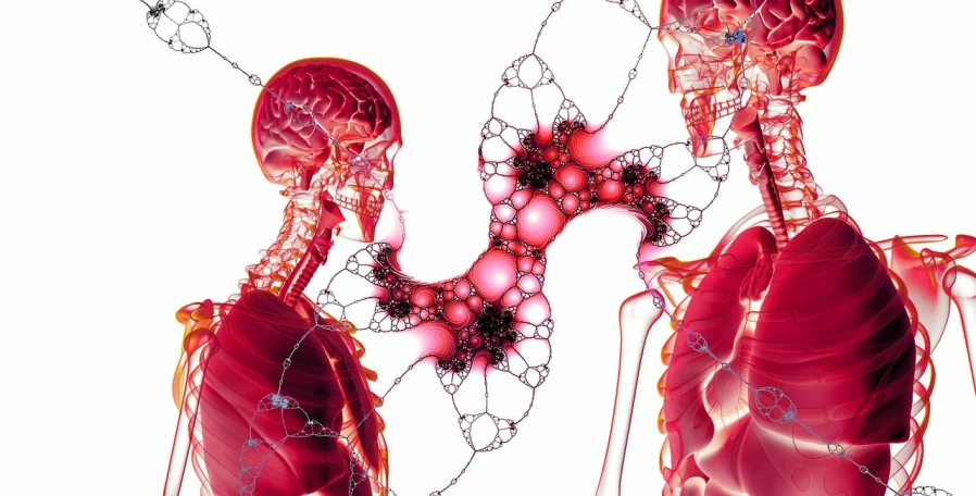 a couple of people standing next to each other, a digital rendering, by Anna Füssli, shutterstock, digital art, anatomical fractal, cells, red biomechanical details, candy brains and broken bones