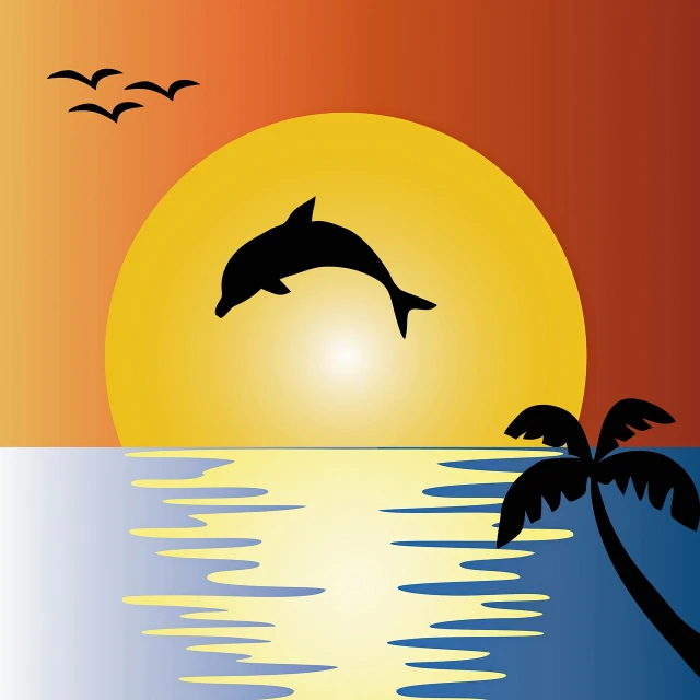 a dolphin jumping out of the water at sunset, an illustration of, tropic climate, sunset illustration, tourist photo