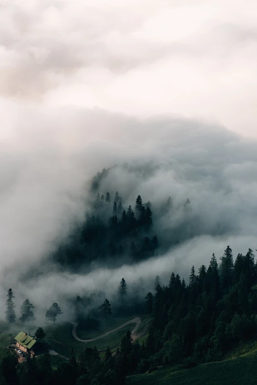 a forest filled with lots of trees on top of a hill, by Karl Buesgen, unsplash contest winner, romanticism, covered in clouds, 4k vertical wallpaper, toxic clouds, twin peaks style