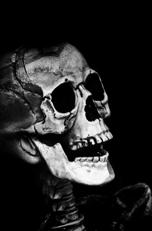a black and white photo of a skeleton, a black and white photo, by Andrei Kolkoutine, pixabay contest winner, nose of red skull, high contrast 8k, funny, an ancient
