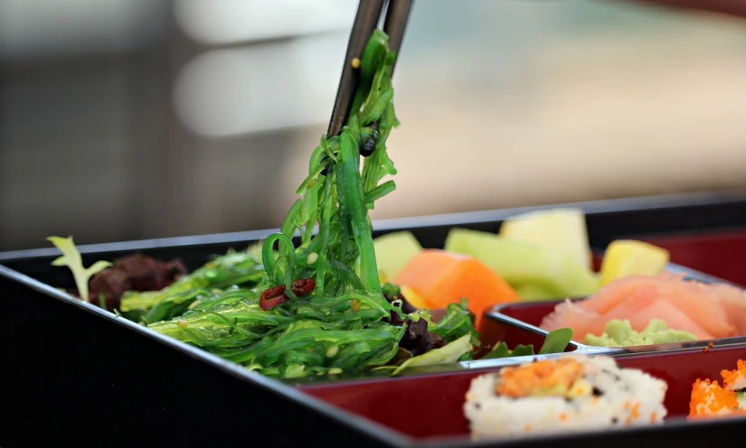 a close up of a tray of food with chopsticks, pixabay, mingei, gelatinous green goop, entangled foliage, high res photo, with seaweed