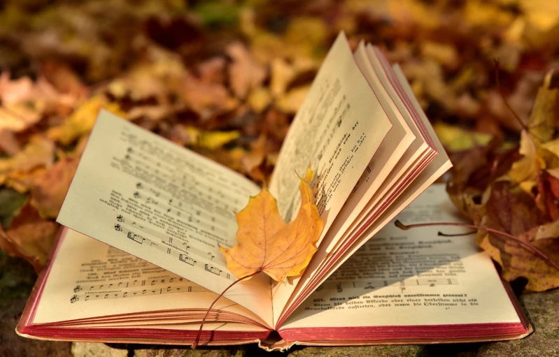 an open book sitting on top of a pile of leaves, a photo, by Maksimilijan Vanka, singing for you, musical notes, autumn, 😃😀😄☺🙃😉😗