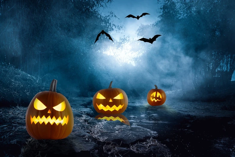 a group of carved pumpkins sitting in the middle of a forest, shutterstock, digital art, flying bats, subtle fog and mood lighting, advertising photo, stock photo