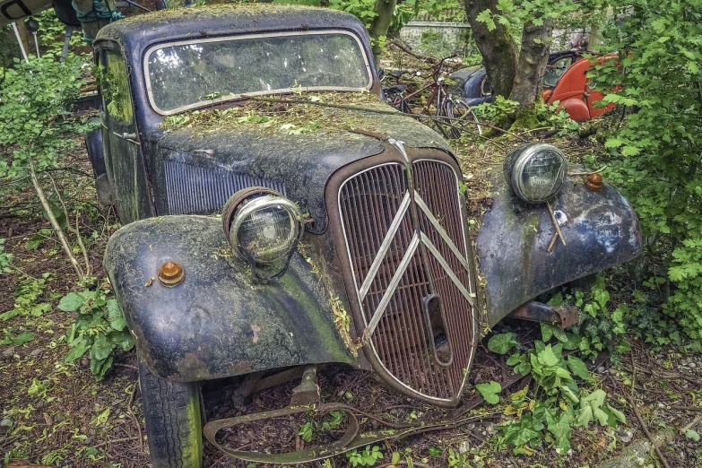 an old car that is sitting in the grass, a photo, by Etienne Delessert, shutterstock, photorealism, dirty greasy face, discovered in a secret garden, full frame shot, truck