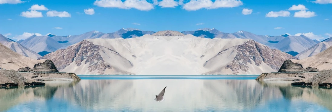 a large body of water surrounded by mountains, a photorealistic painting, inspired by Scarlett Hooft Graafland, pixabay contest winner, minimalism, manta ray, omar shanti himalaya tibet, fox flying through landscape, beach surreal photography