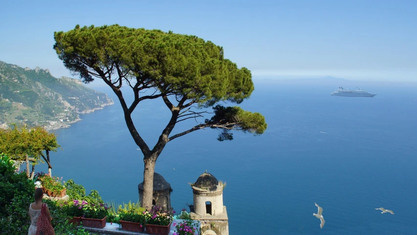 a tree sitting on top of a lush green hillside, a picture, romanticism, beautiful italian beach scene, spire, topiary, twice