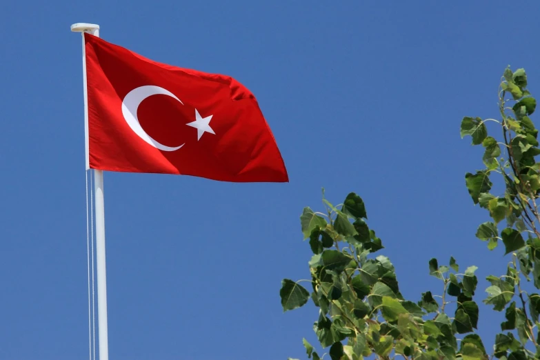 a red and white turkish flag blowing in the wind, a picture, pexels, hurufiyya, square, on a sunny day, 2011, silver