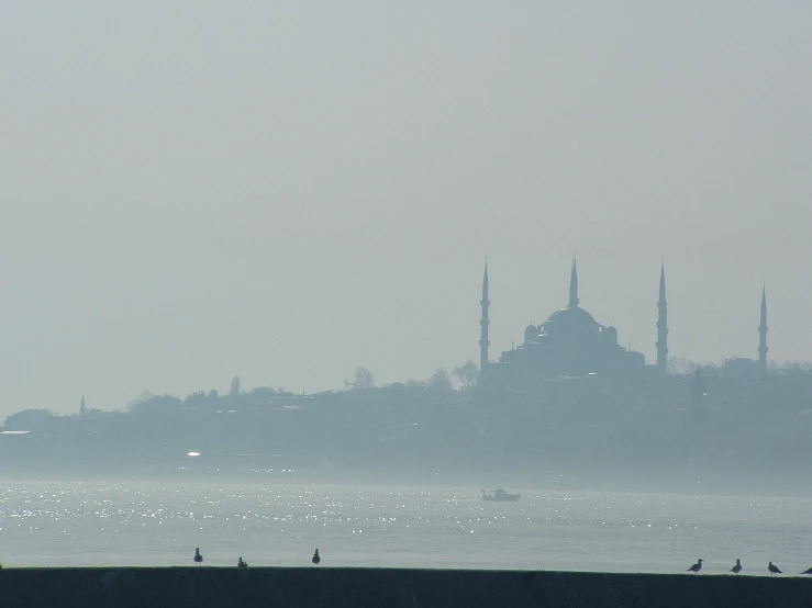 a group of birds standing on top of a beach next to a body of water, inspired by Niyazi Selimoglu, flickr, hurufiyya, cathedral in the background, morning haze, istanbul, palace on top of the hill