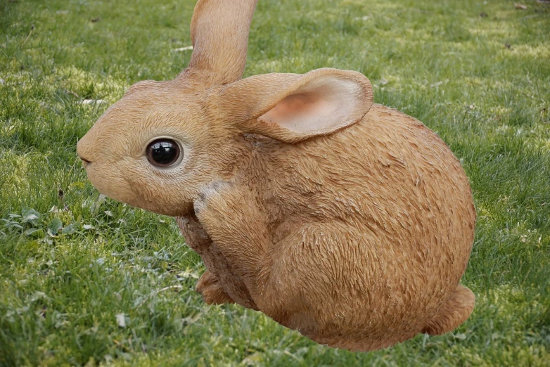 a brown rabbit sitting on top of a lush green field, a digital rendering, shutterstock, photorealism, 🐿🍸🍋, snapchat photo, with a large head and big eyes, full body close-up shot