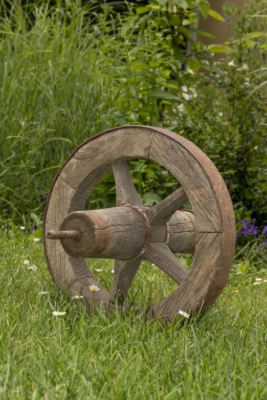 a wooden wheel sitting on top of a lush green field, by Richard Carline, high detail product photo, antique, daisy, merlin