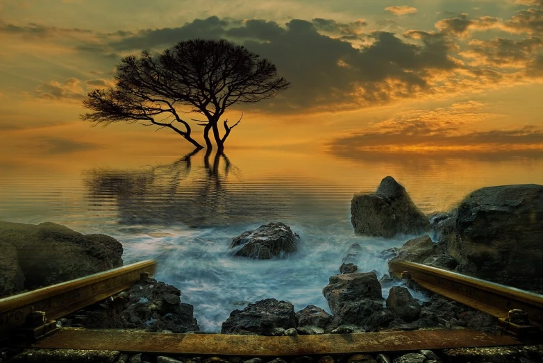a lone tree sitting in the middle of a body of water, a picture, romanticism, amazing wallpaper, twisted waterway, large twin sunset, beautful view