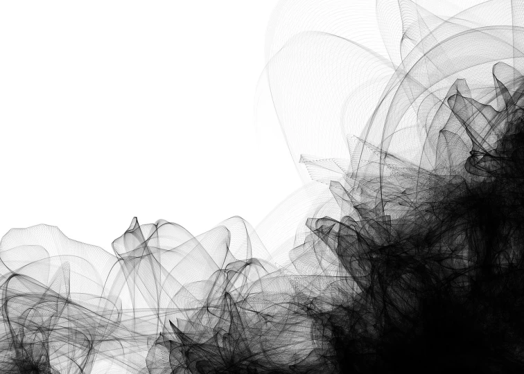 a black and white photo of black and white smoke, an abstract drawing, by Konrad Krzyżanowski, generative art, computer wallpaper, penned with thin colors on white, smooth vector lines, half textured half wireframe