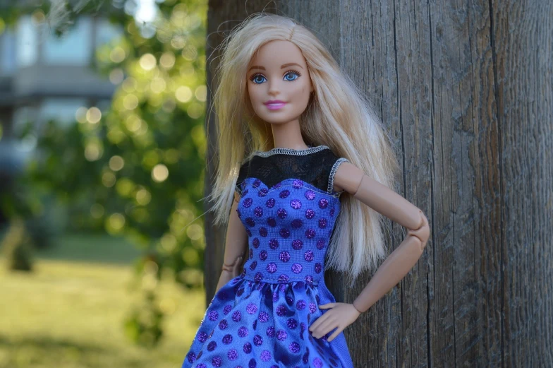 a barbie doll standing next to a wooden pole, by Daphne Allen, pixabay, blue and violet, wearing a formal dress, photo taken in 2018, pretty face!!