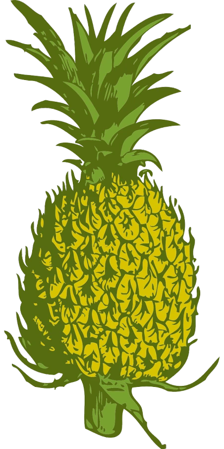 a drawing of a pineapple on a white background, vector art, by Matt Stewart, pop art, posterized color, linocut, phone wallpaper, view from bottom to top