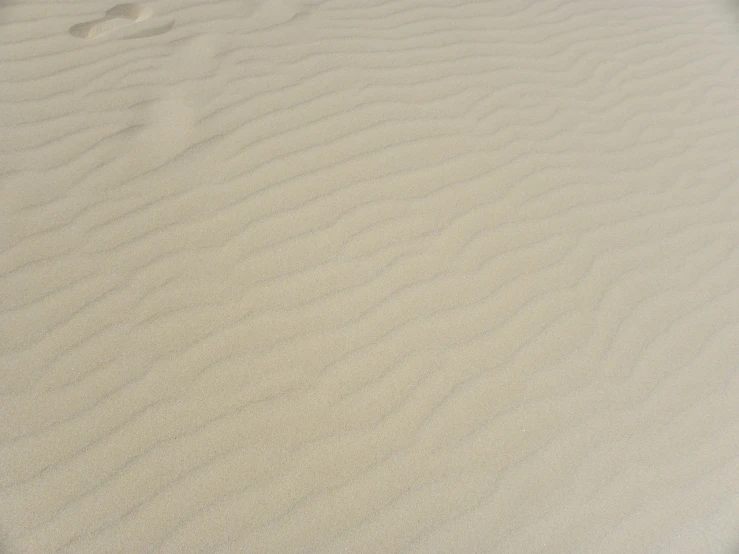 a surfboard sitting on top of a sandy beach, inspired by Edward Weston, op art, very sharp photo, sand color, high details photo