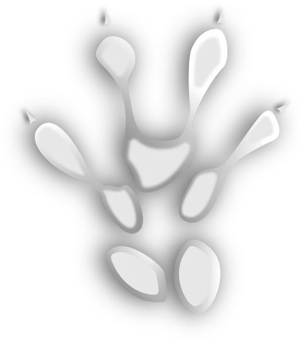 a black and white image of a paw print, inspired by Jean Arp, generative art, uv map, top down extraterrestial view, sectioned, cell shaded cartoon