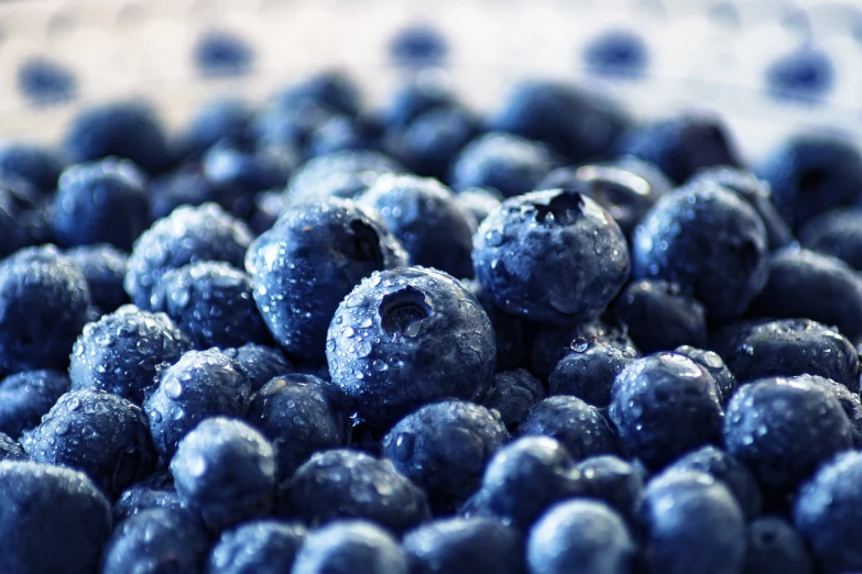 a close up of a bowl of blueberries, a stock photo, by Paul Emmert, pexels, photorealism, covered in water drops, istockphoto, berries inside structure, ground level shot