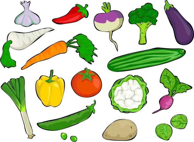 a variety of vegetables on a white background, an illustration of, by Nishida Shun'ei, pixabay, 1 6 colors, wikihow illustration
