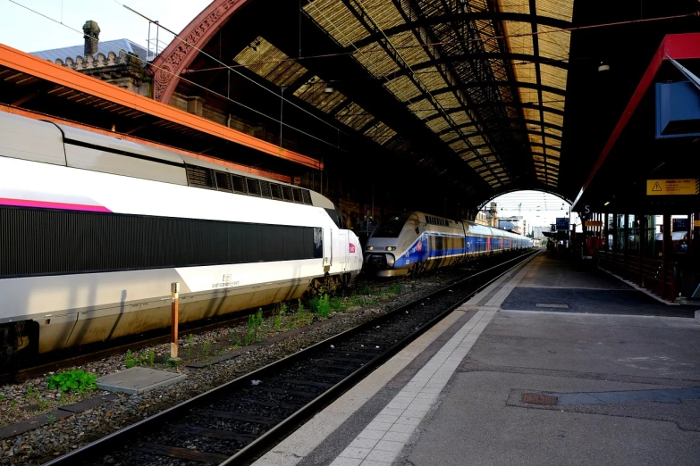 a train pulling into a train station next to a platform, by Raphaël Collin, flickr, big!!!!!!!!!!!!, tgv, complex!!, trains