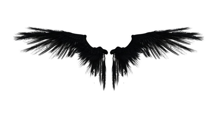 a black angel wings on a black background, by Andrei Kolkoutine, digital art, bottom shot, background image, 2 angels, movie