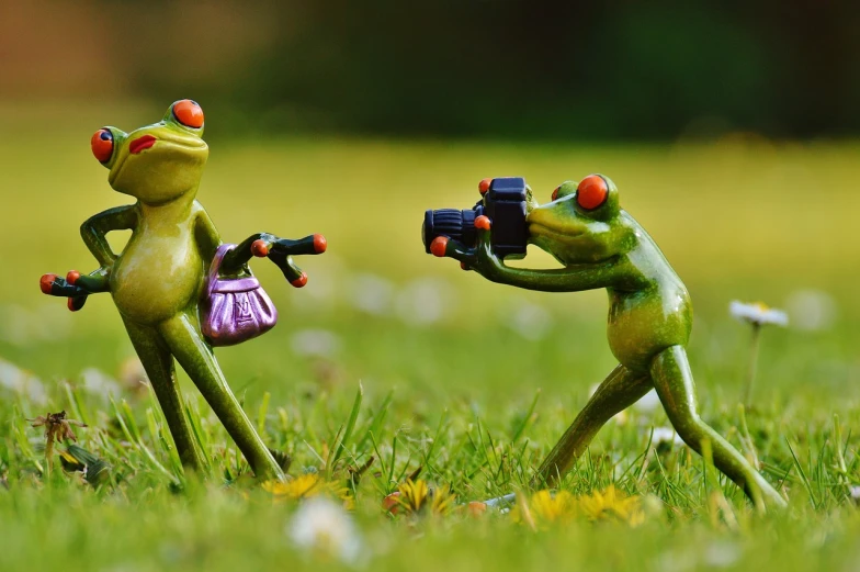 a couple of frogs that are standing in the grass, by Zoran Mušič, flickr, figuration libre, brandishing a gun, taking a picture, as an action figure, fighting each other