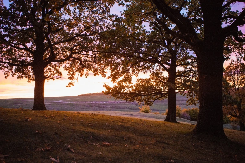 a couple of trees sitting on top of a lush green hillside, flickr, romanticism, autumn sunset, iowa, looking into the horizon, big oak trees