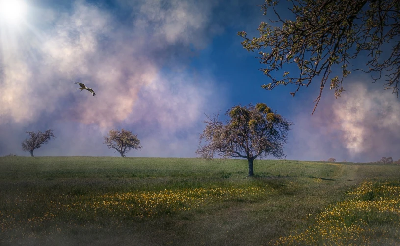 a flock of birds flying over a lush green field, a picture, pixabay contest winner, romanticism, oak trees and dry grass, yellow volumetric fog, psychedelic flowers and trees, 3 are spring