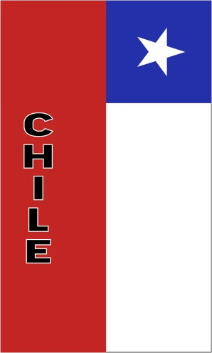 a picture of the flag of the state of texas, de stijl, chile, label, 1128x191 resolution, panini