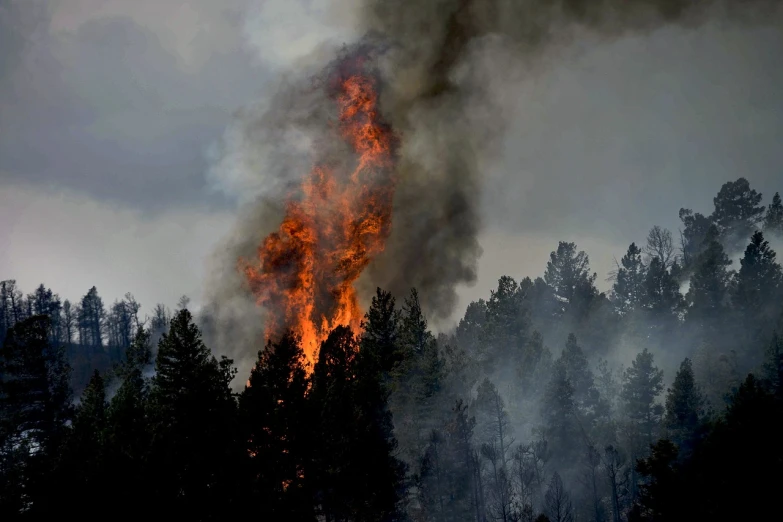 a large fire in the middle of a forest, colorado, photograph credit: ap, afp, i_5589.jpeg