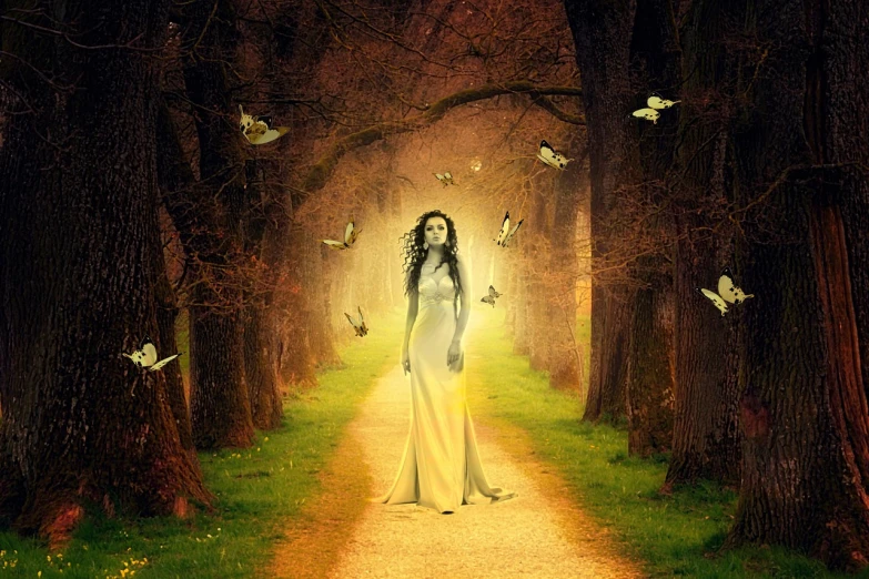 a woman standing on a path surrounded by trees, digital art, inspired by Tom Chambers, pixabay contest winner, fantasy art, yellow butterflies, heavenly lighting, elegant woman, from a dream