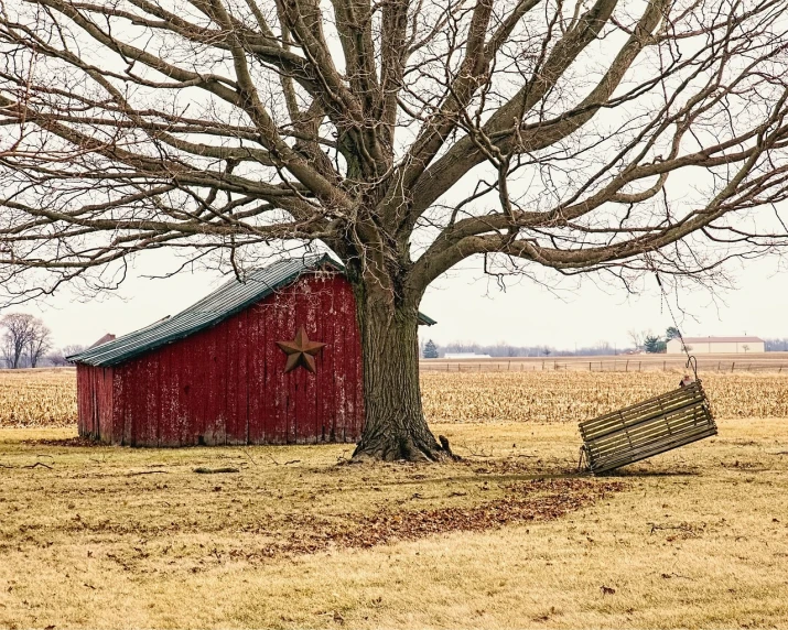a red barn next to a tree in a field, a photo, by Robert Storm Petersen, pexels, folk art, laying under a tree on a farm, harsh contrasts, holiday season, broken composition