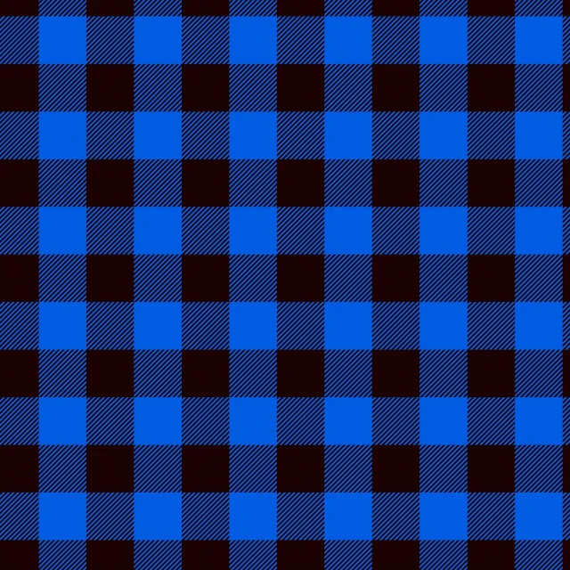 a blue and black plaid pattern is shown, by Nakahara Nantenbō, pexels, clean cel shaded vector art, various posed, lumberjack, blue and black color scheme))