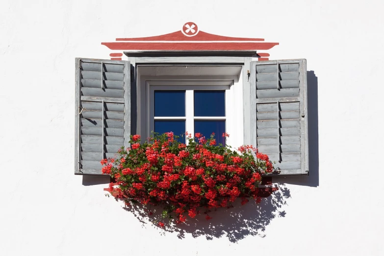 a window with a flower box in front of it, by Hans Schwarz, shutterstock, silver white red details, fully symmetrical, 1759, technical