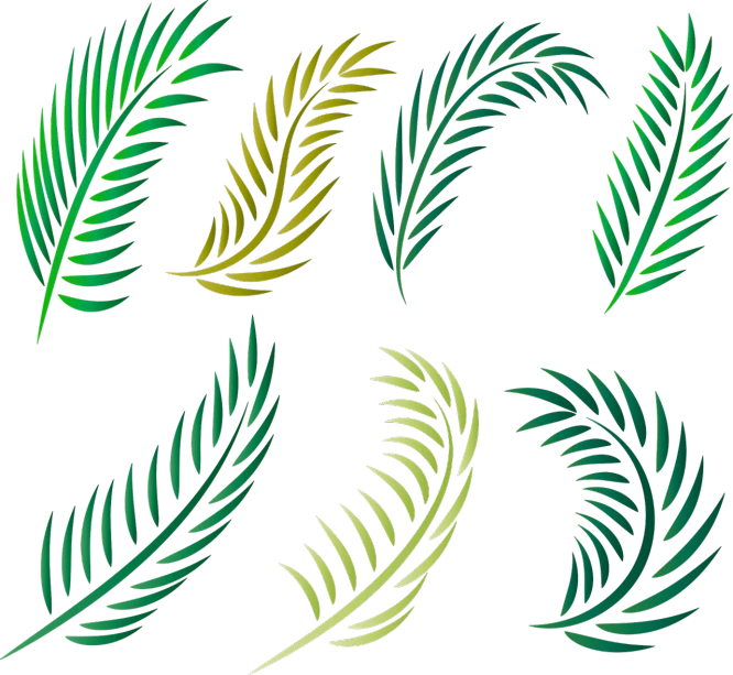a bunch of green leaves on a black background, a digital painting, inspired by Master of the Embroidered Foliage, hurufiyya, palm leaves on the beach, variations, けもの, gradation