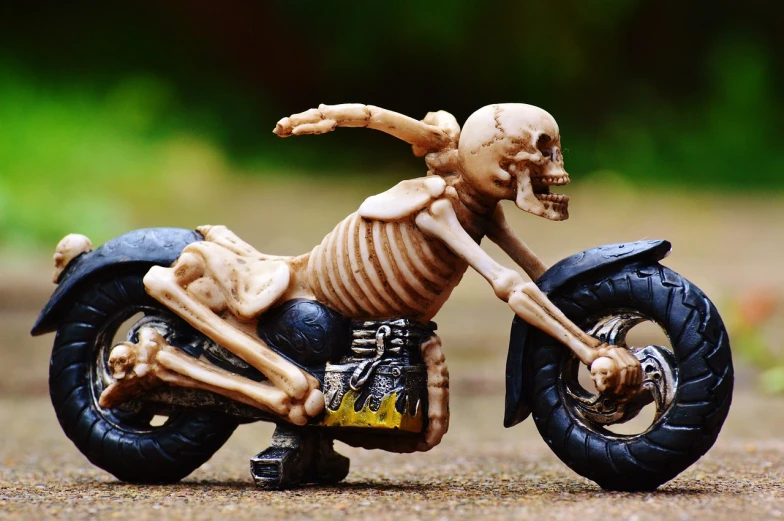 a skeleton riding on the back of a motorcycle, pixabay contest winner, photorealism, 1 / 1 6 th scale, ray harryhausen, phone wallpaper, anatomical figure