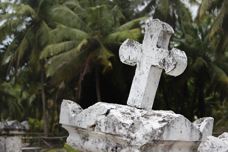 a cross on top of a grave with palm trees in the background, by Robbie Trevino, weathered artifacts, sri lanka, rip and tear, horned