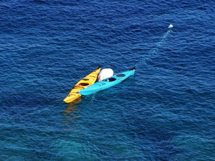 a couple of kayaks floating on top of a body of water, by Richard Carline, maui, blue submarine no. 6, colors of jamaica, alone!!