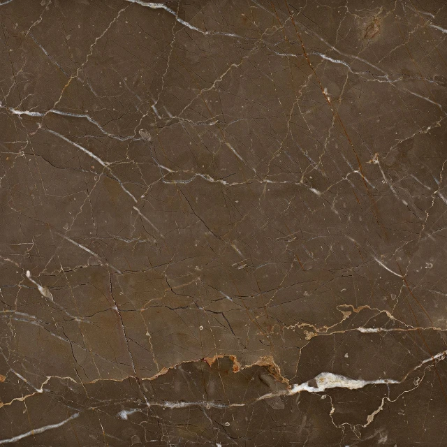 a close up of a brown marble surface, a portrait, by Alexander Mann, shutterstock, baroque, highly detailed product photo, high detail product photo, josh black, brunette