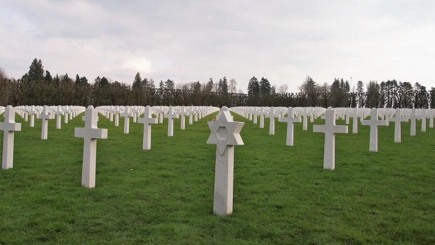 a field of white crosses with trees in the background, by Viktor de Jeney, flickr, paris 2010, stars pour where blood boils, with a skeleton army, by joseph binder