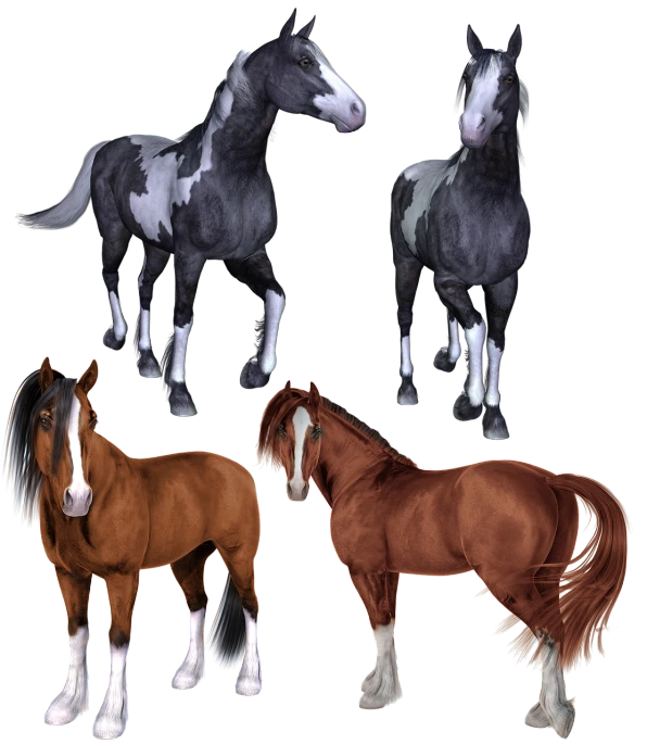 a group of horses standing next to each other, by Linda Sutton, trending on polycount, renaissance, hand painted textures on model, various poses, lowres, four