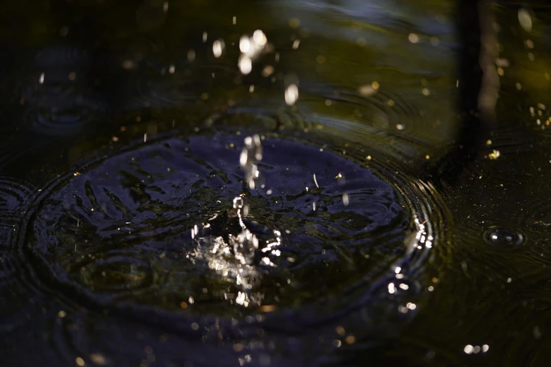 a close up of a water drop in a body of water, a picture, renaissance, bokeh ), ripple, water flowing through the sewer, sun rays shine through the water