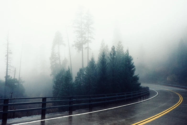 a winding road surrounded by trees on a foggy day, a picture, postminimalism, yosemite, wet highway chase, scary pines, phone photo