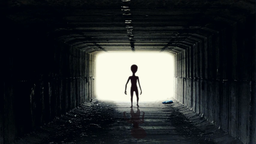 a person standing in a dark tunnel with a light at the end, surrealism, grey alien, aliens invading earth, human silhouette, martian