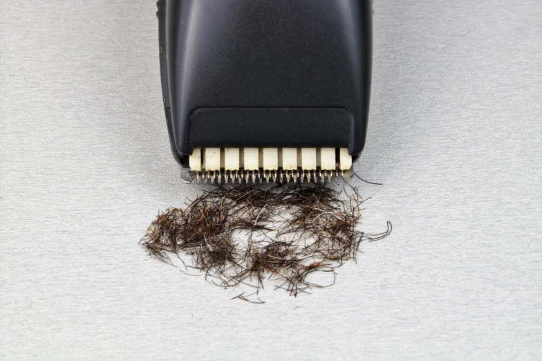 a hair brush sitting on top of a pile of hair, a stipple, by Jan Kupecký, electronic, short goatee, scratched photo