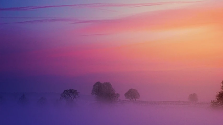 a herd of sheep standing on top of a snow covered field, by Ian Fairweather, flickr, romanticism, tall purple and pink trees, foggy sunset, gradient purple, ((mist))