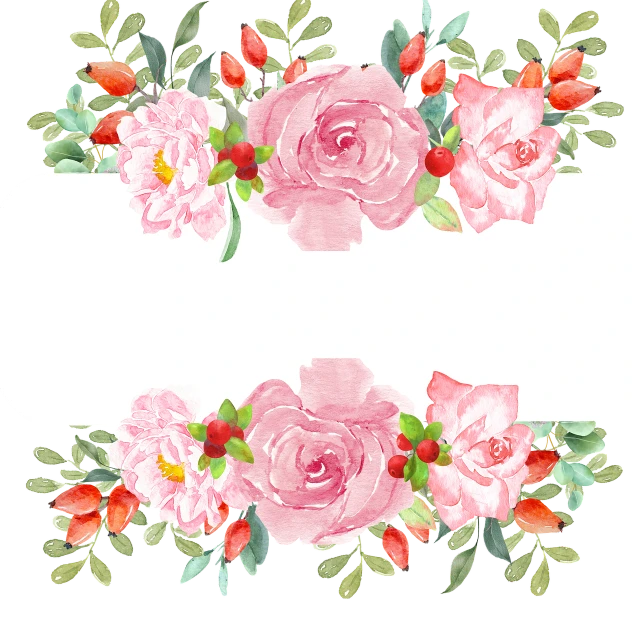 a watercolor painting of pink roses on a white background, a watercolor painting, by Nagasawa Rosetsu, shutterstock, strawberry embellishment, flower frame, twice, with colorful flowers and plants