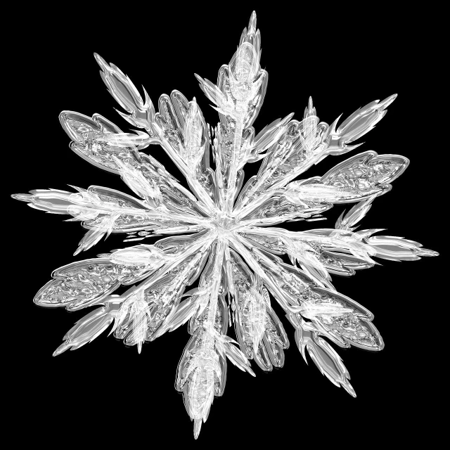 a black and white photo of a snowflake, featured on zbrush central, fine art, ultra high detail digital art, 2 0 1 0 photo, floating crystals, anato finnstark. front view