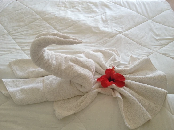 a towel shaped like an elephant on a bed, a stock photo, inspired by Louise Bourgeois, flickr, hurufiyya, plumeria, romantic ambiente, white!!, flamingo